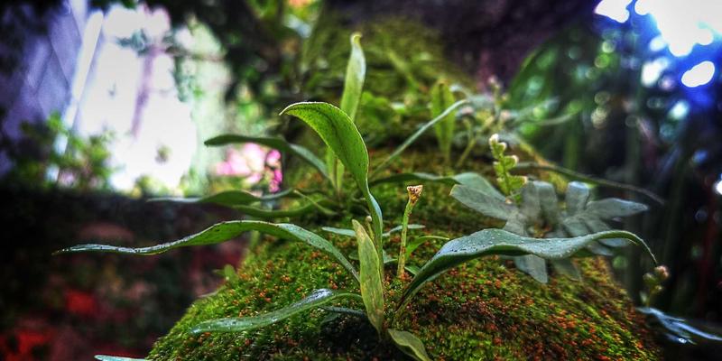 一指8生活服务:连接社区信息,重塑便捷邻里生活