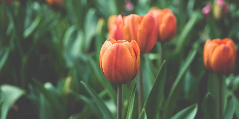 从‘一指8’看生活服务平台如何以便民信息重塑社区服务生态