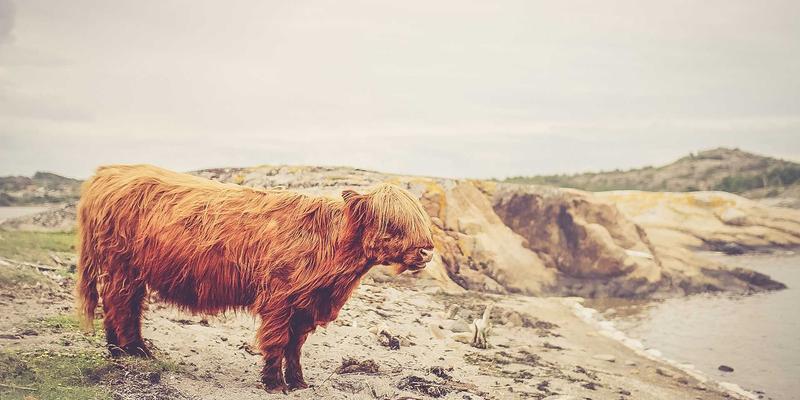 家庭年度大扫除深度保洁服务：从细分流程到专业团队选择的完整指南 | 社区便民信息