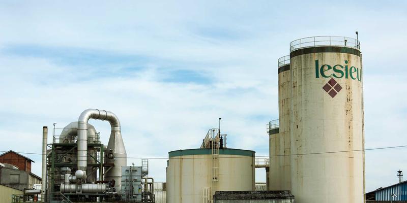 家庭绿植养护与室内空气优化服务：便民信息引领的健康生活新业态