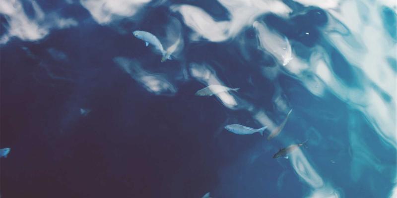 本地生活服务数字化升级：中小商户如何借助SaaS工具降本增效