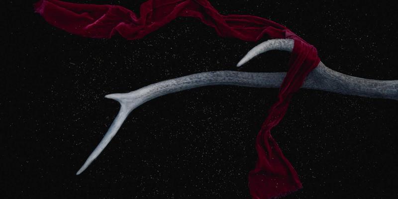 生活服务13：社区信息如何通过“一指8”实现智慧化升级