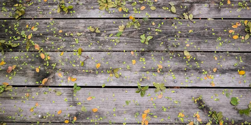 生活服务升级关键：破解家政服务标准化痛点，构建培训与评估新体系