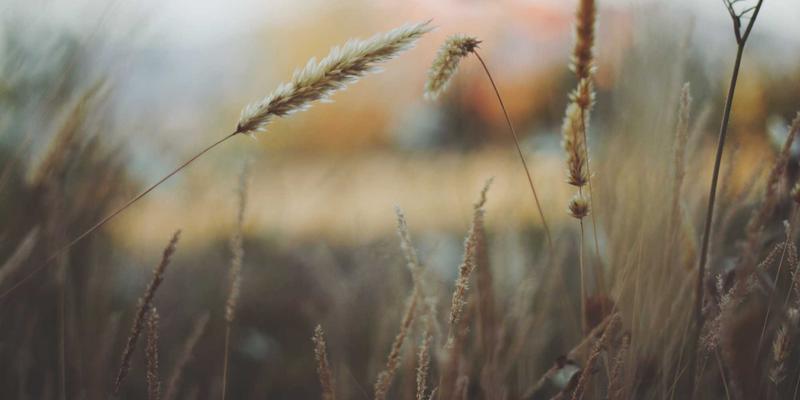 生活服务怎么用？掌握便民信息、一指8与社区信息的智慧生活指南