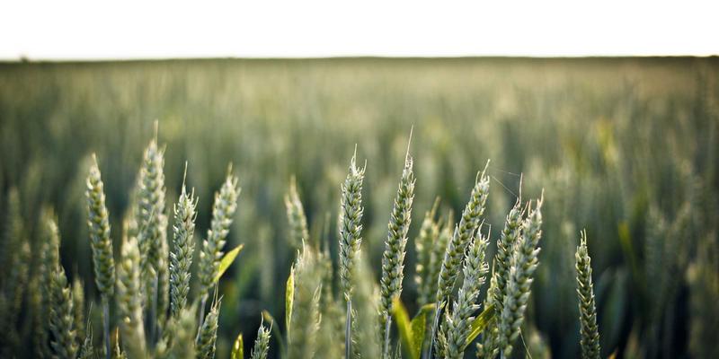 生活服务新趋势：社区信息平台如何推动绿色消费，从废品回收到旧物置换