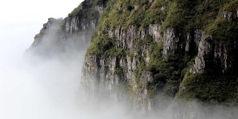 解锁社区信息新方式：一指8让本地服务触手可及